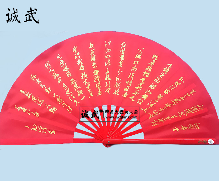 沁园春雪太极功夫扇