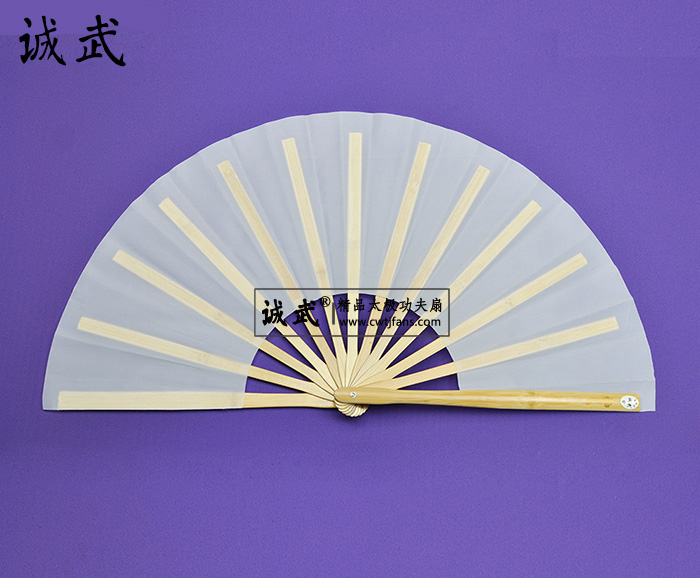 白色太极功夫扇