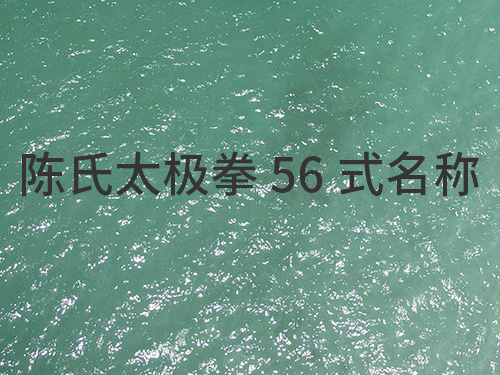 陈式56式太极拳动作名称